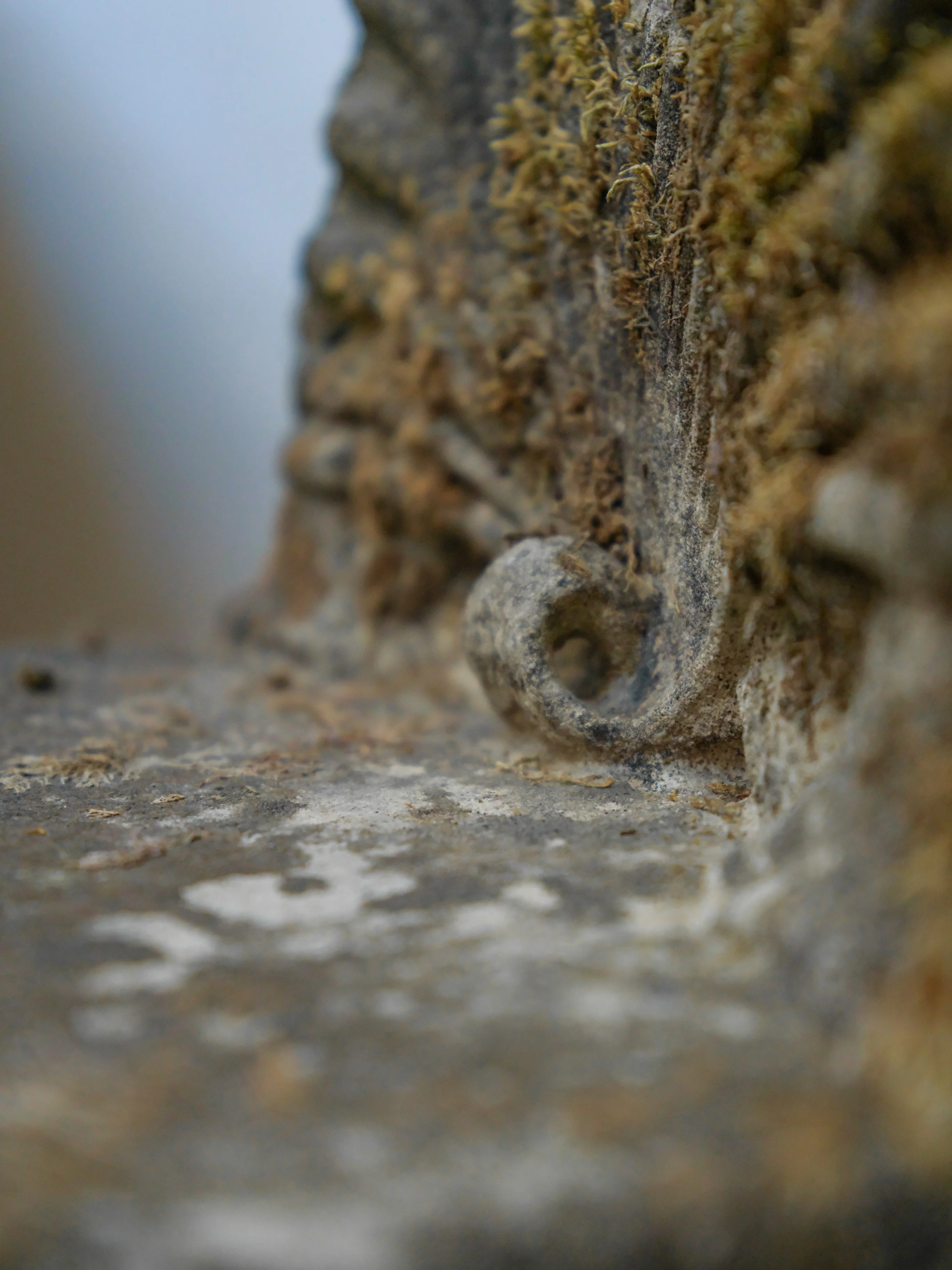 19th Century Italian Grit Stone Grotto Chairs - Image 5