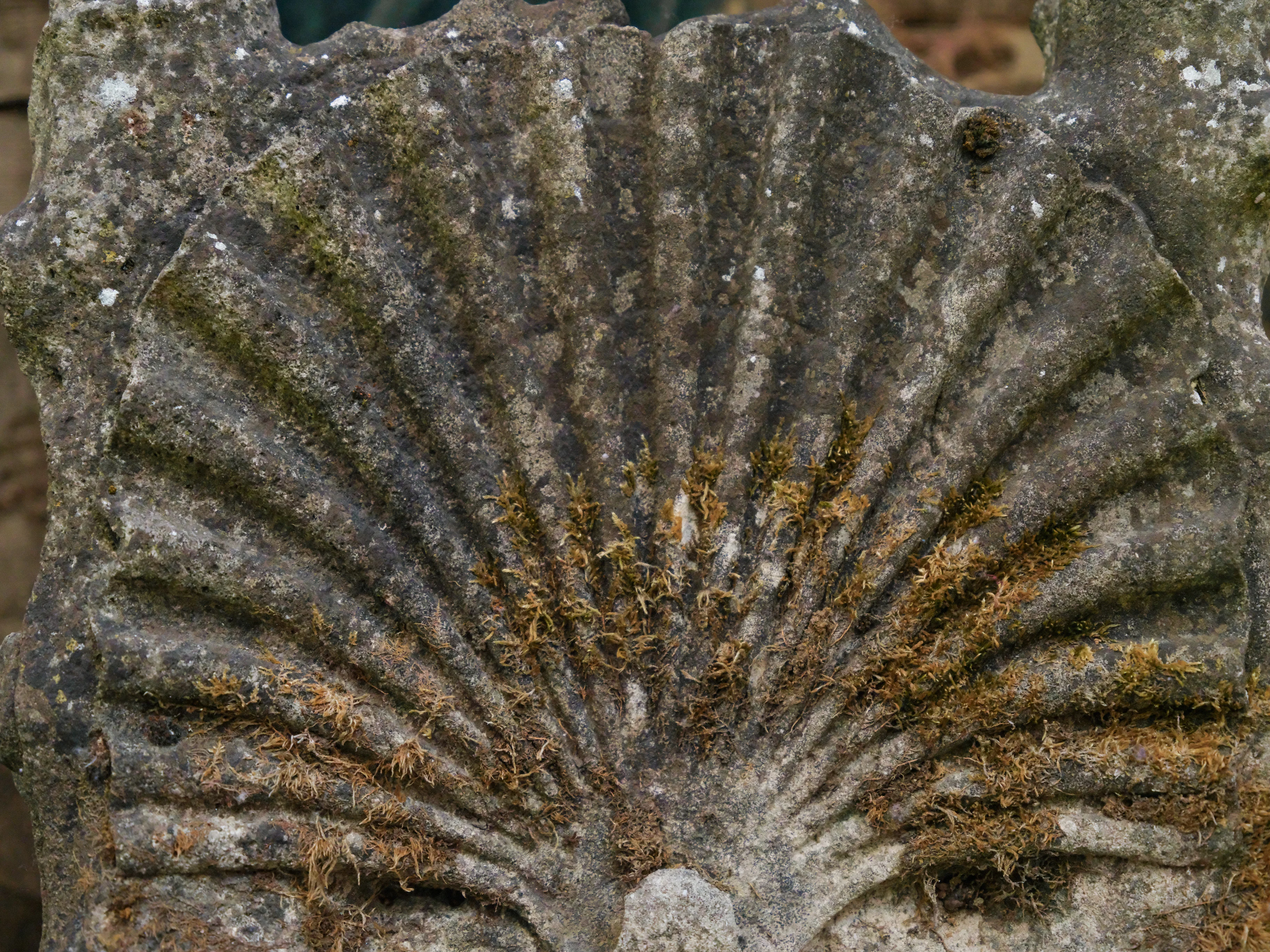 19th Century Italian Grit Stone Grotto Chairs - Image 7