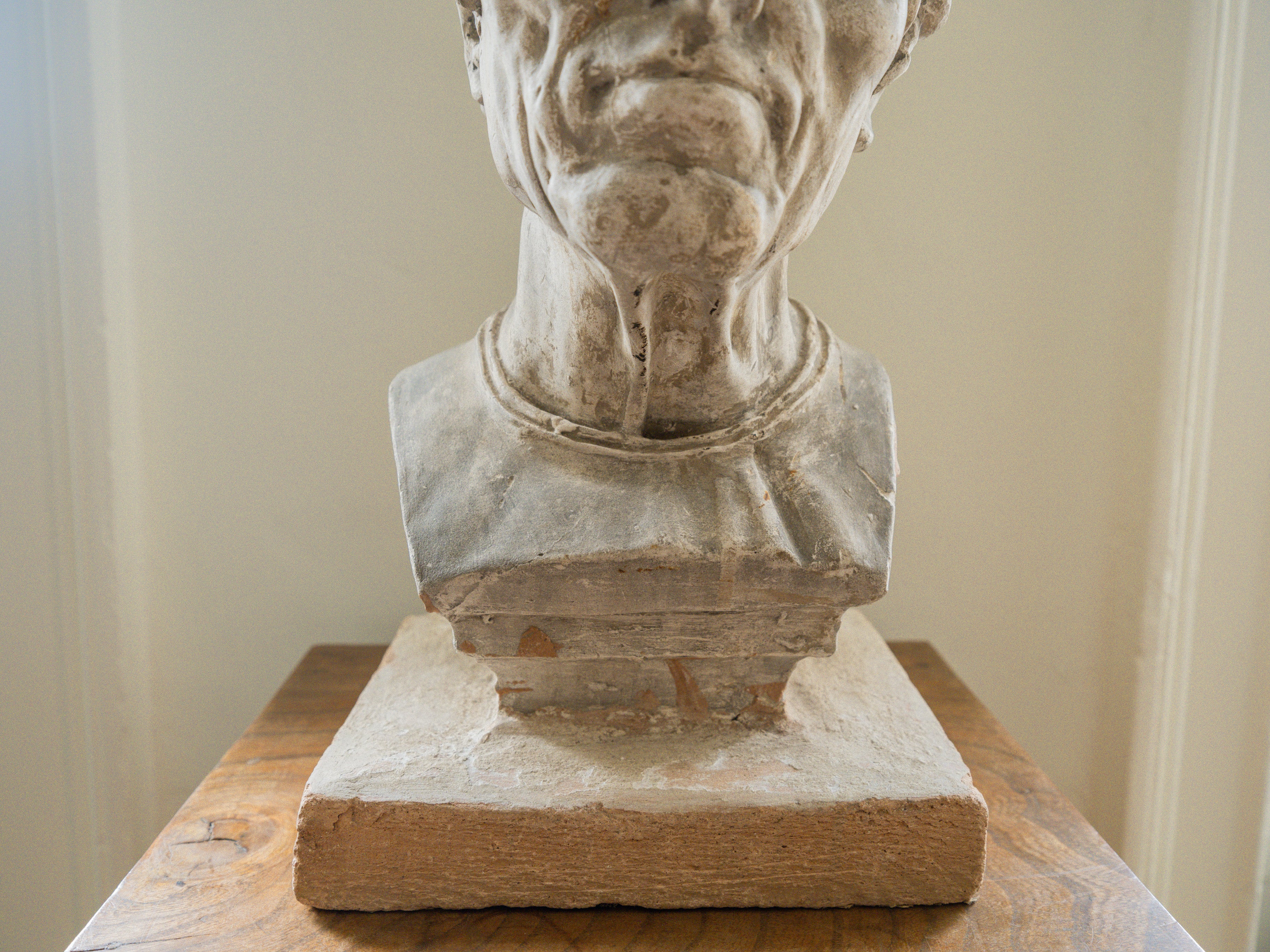 A Brucciani & Co Plaster Bust - Image 11