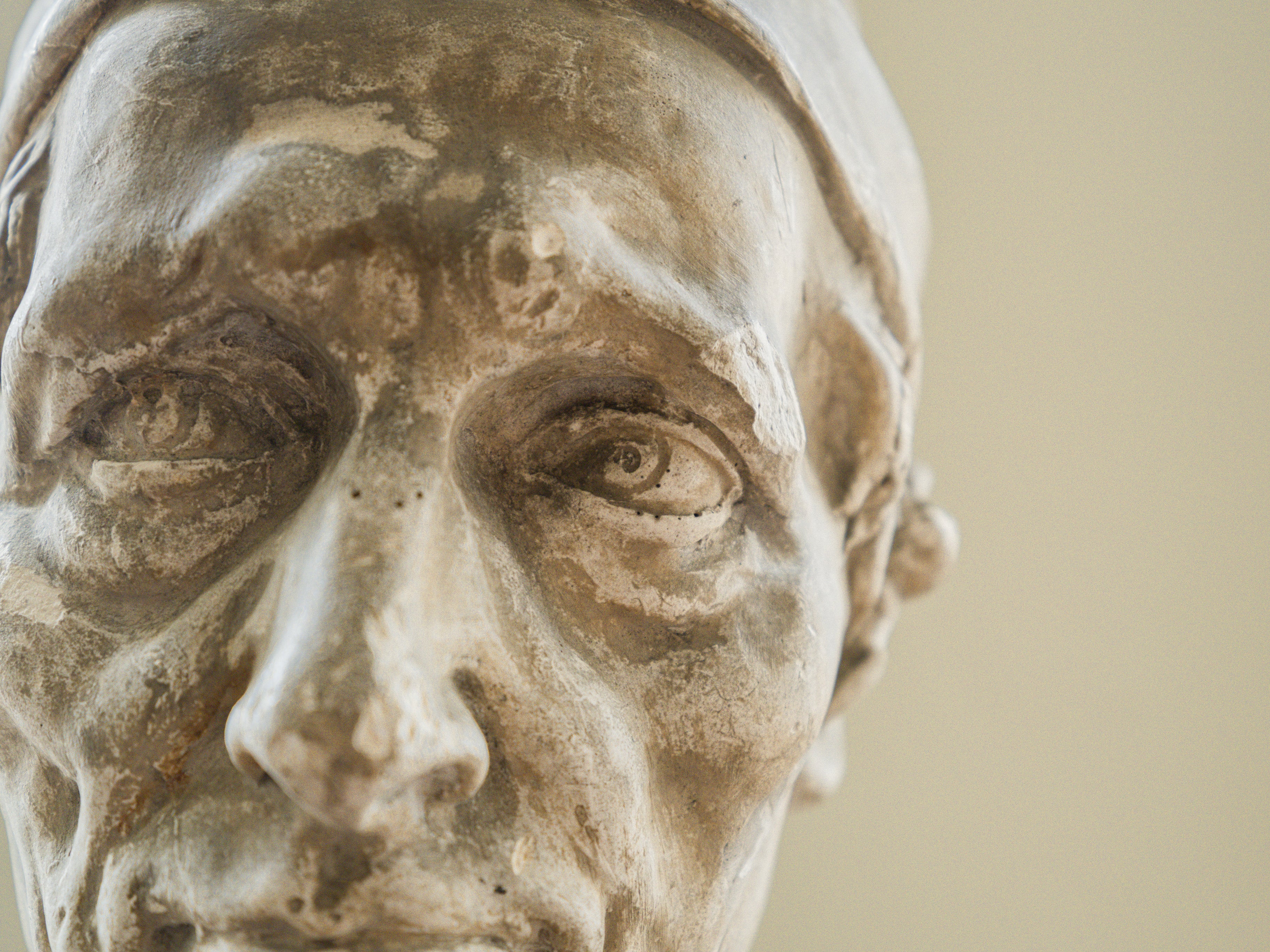 A Brucciani & Co Plaster Bust - Image 14