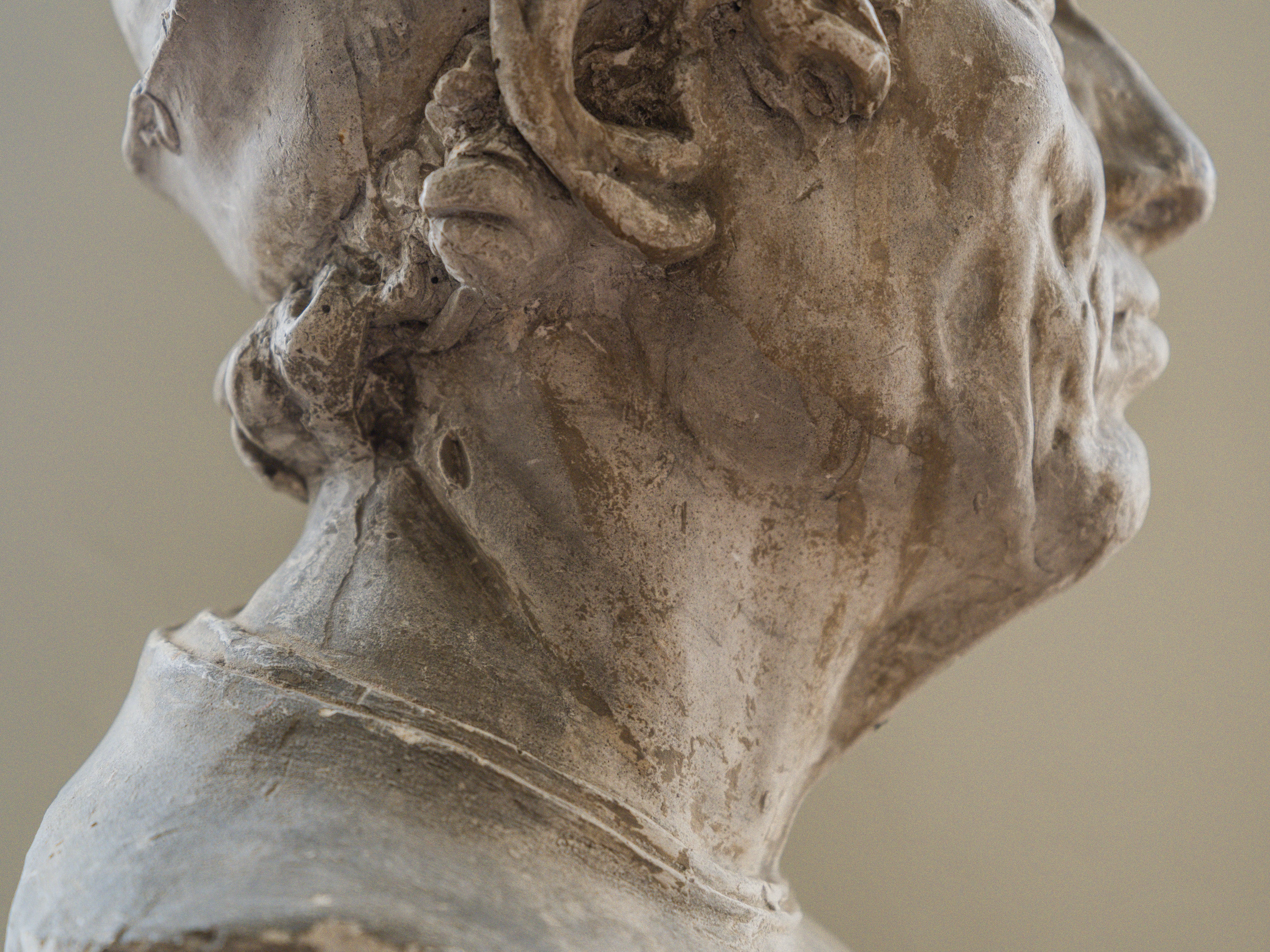 A Brucciani & Co Plaster Bust - Image 8