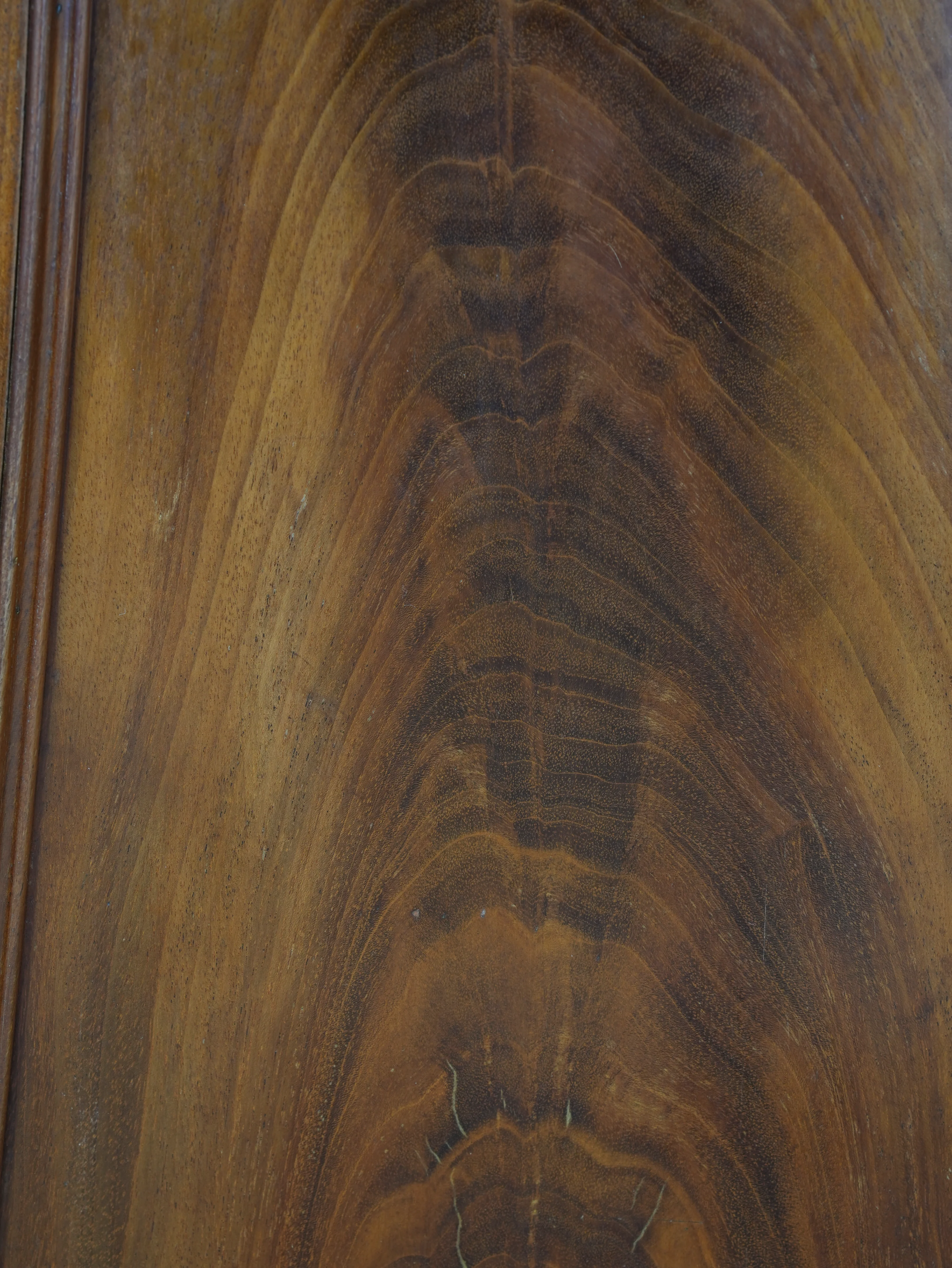 A Regency Mahogany Pedestal Cabinet - Image 10