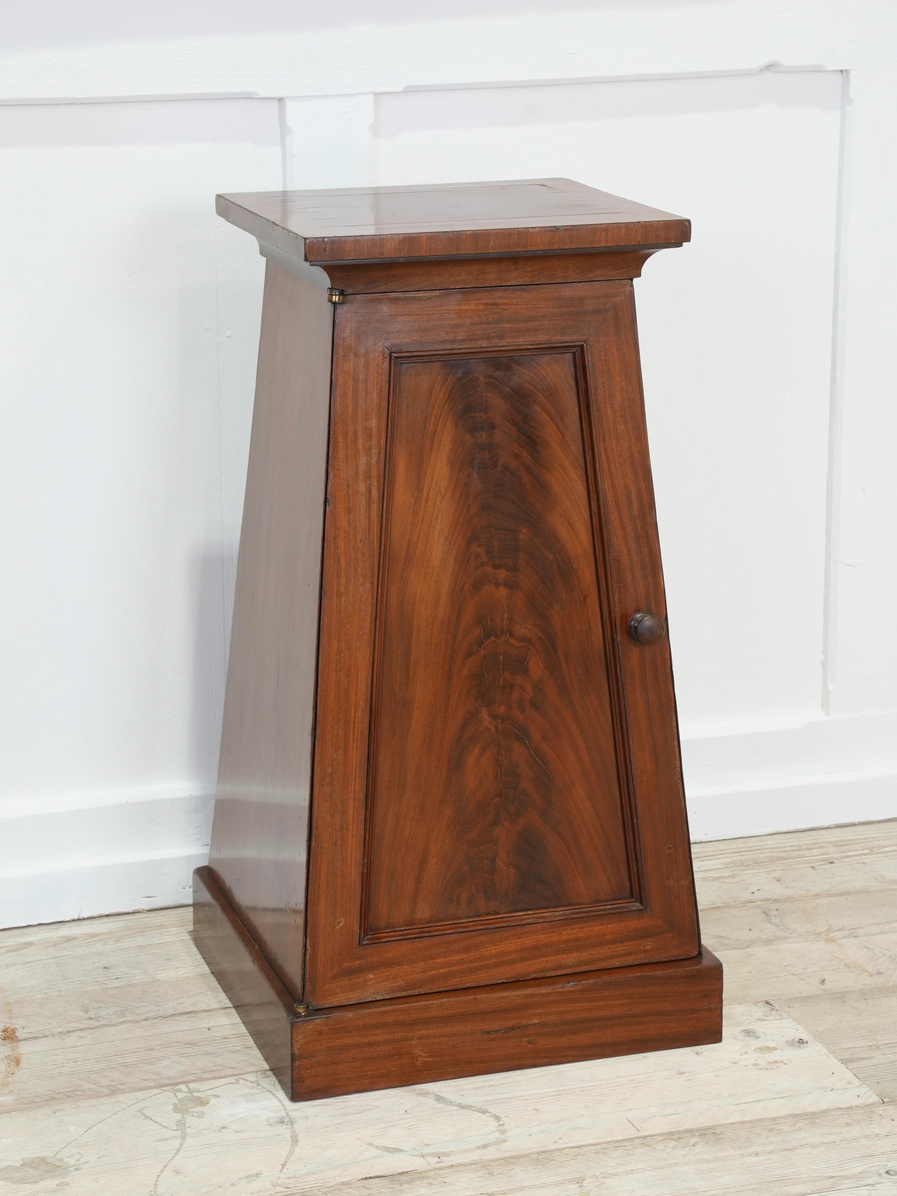 A Regency Mahogany Pedestal Cabinet - Image 2