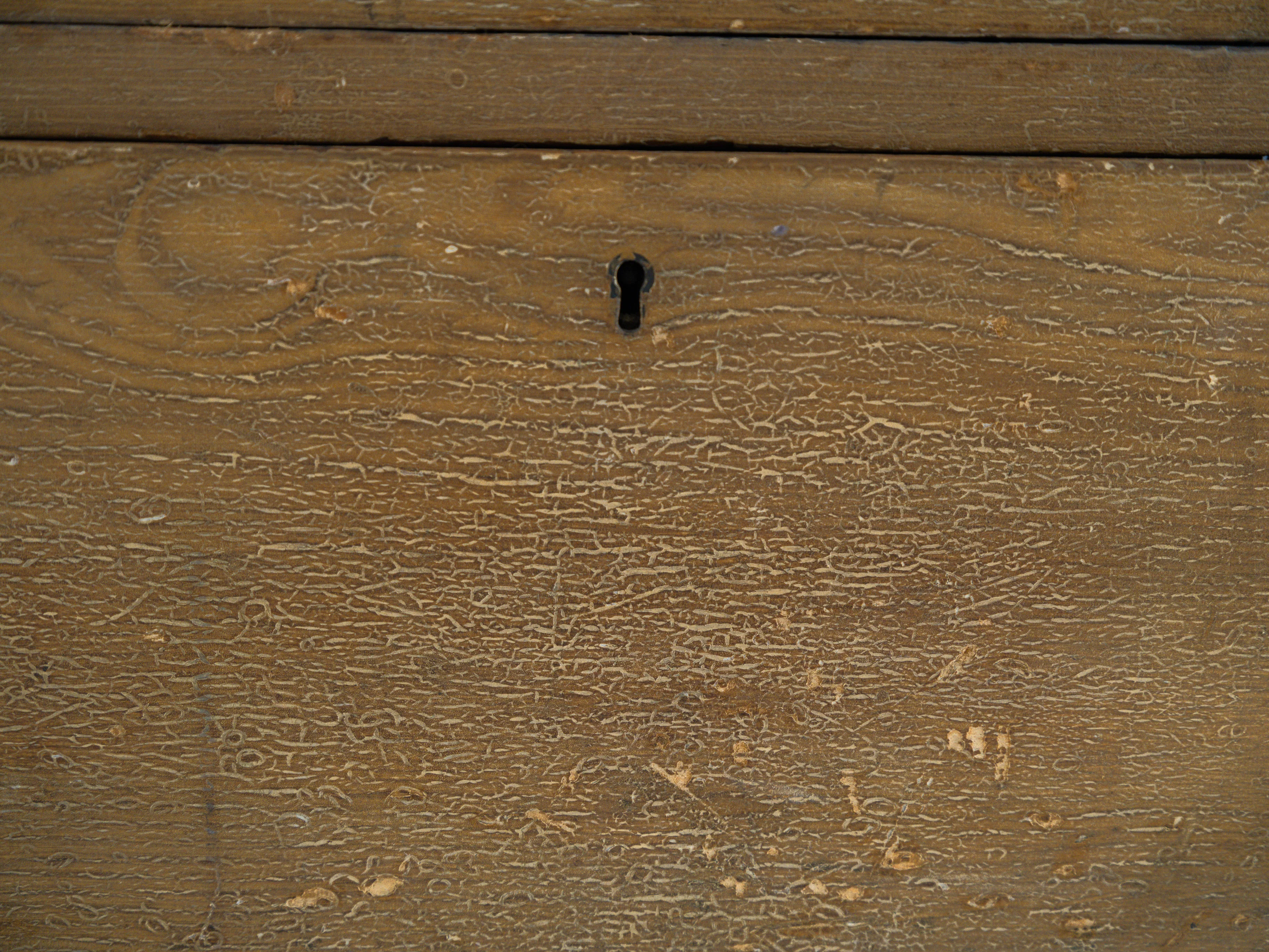 A 19th Century House Keeper's Cupboard - Image 19