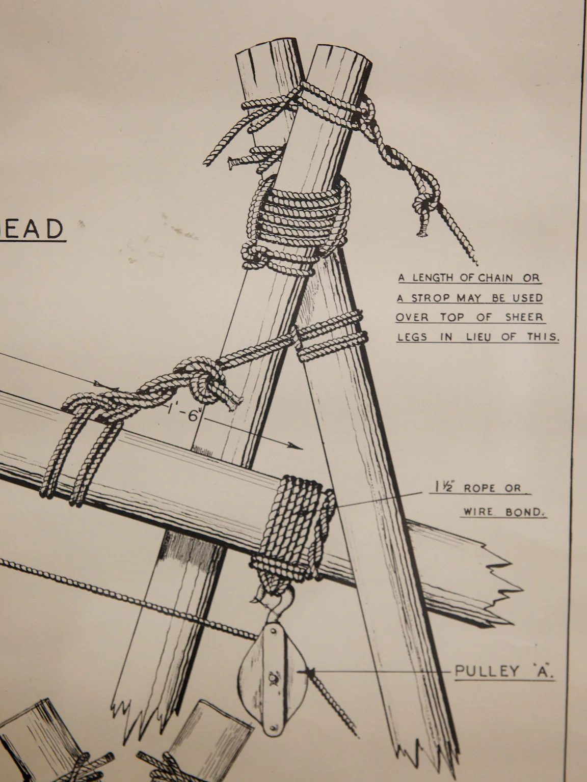 Homeland Security - Image 7
