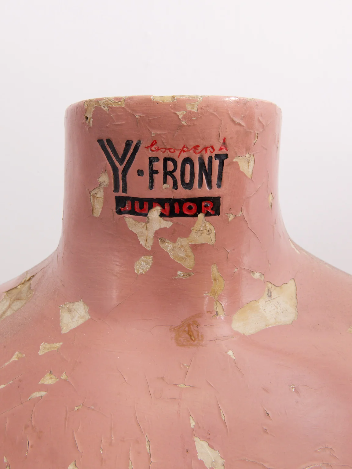 Junior Y Fronts