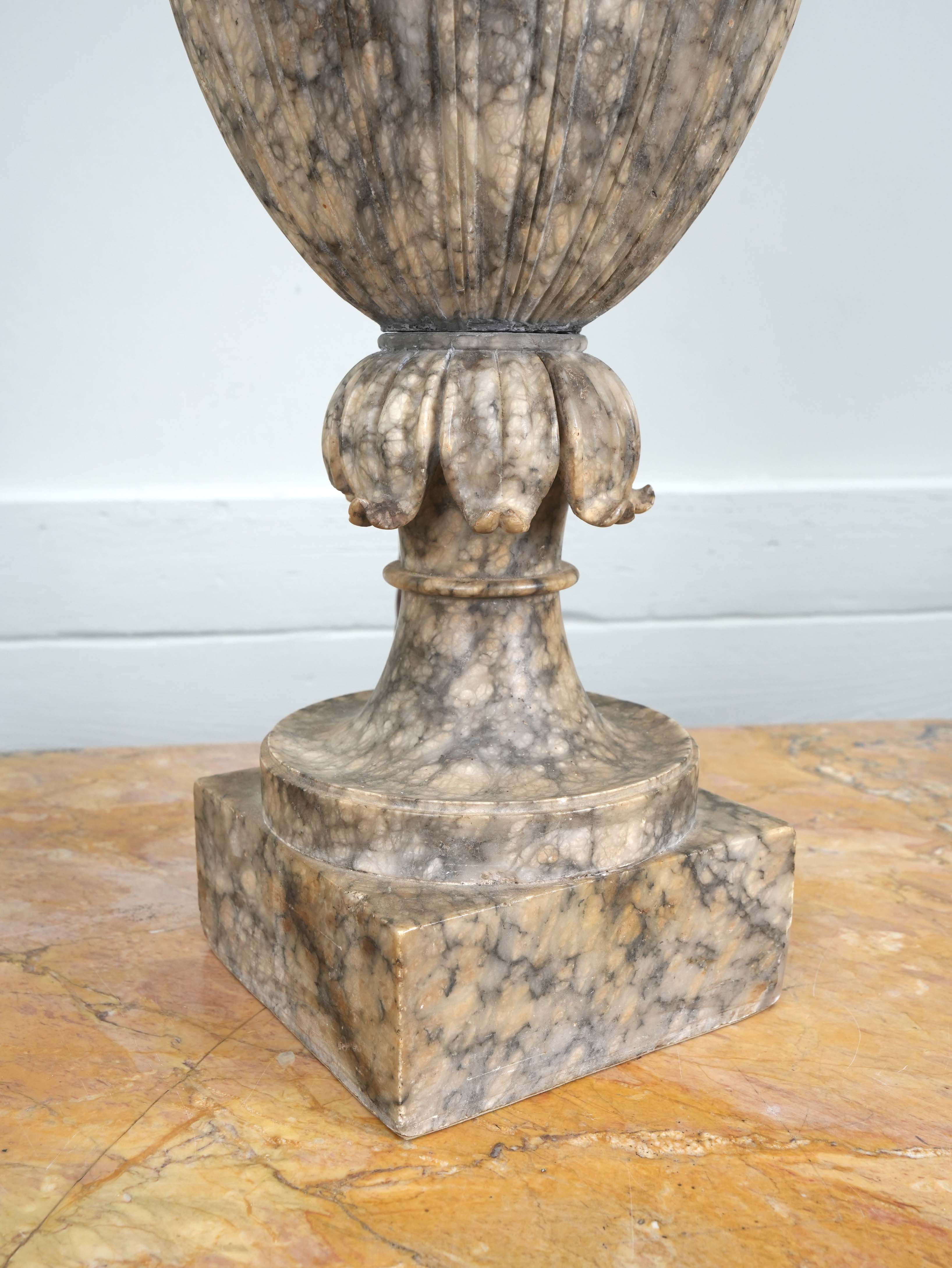 A 19th Century Alabaster Lidded Urn Table Lamp - Image 9