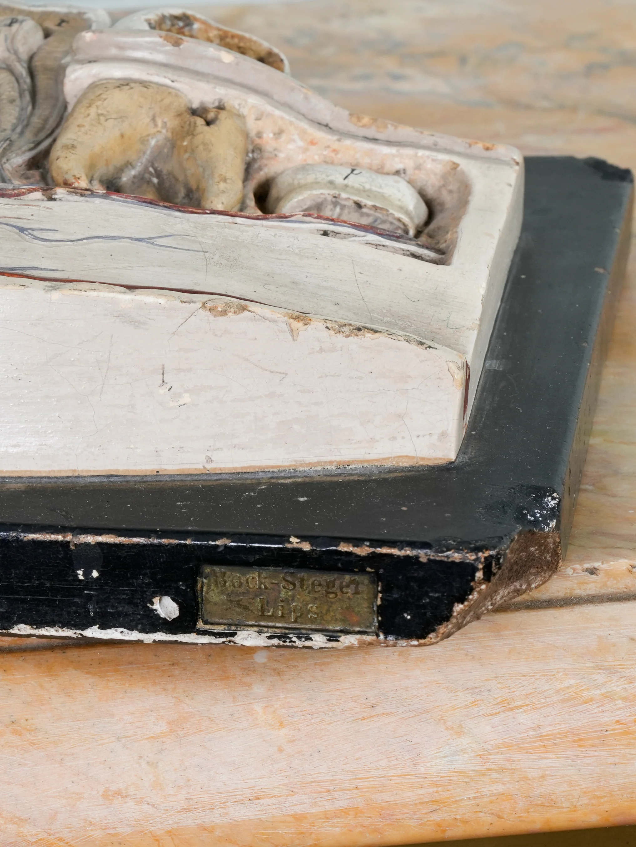 A 19th Century Plaster Didactic Model of Malformed Teeth - Image 8