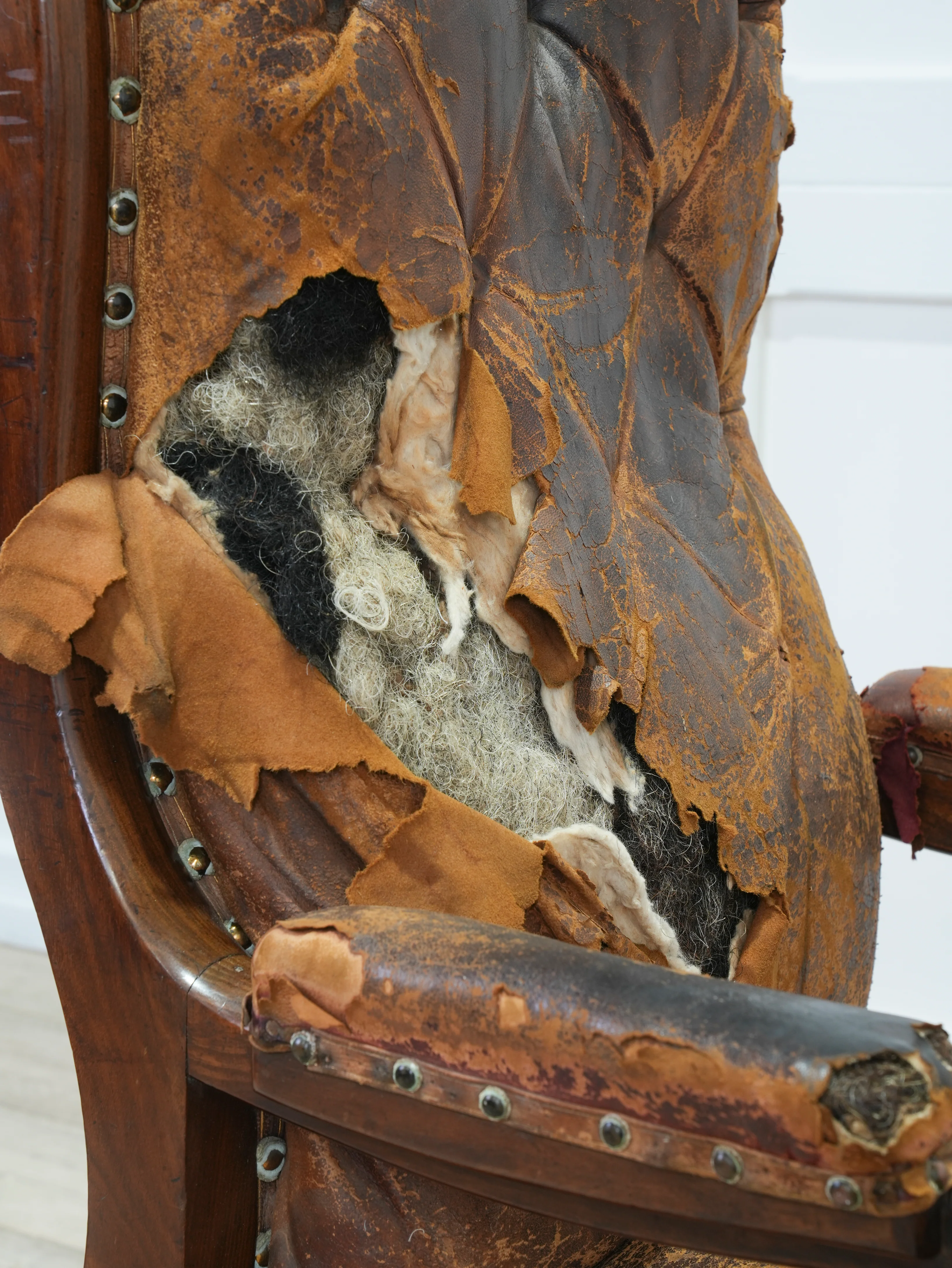A 19th Century Neo- Classical Mahogany Library Chair - Image 13