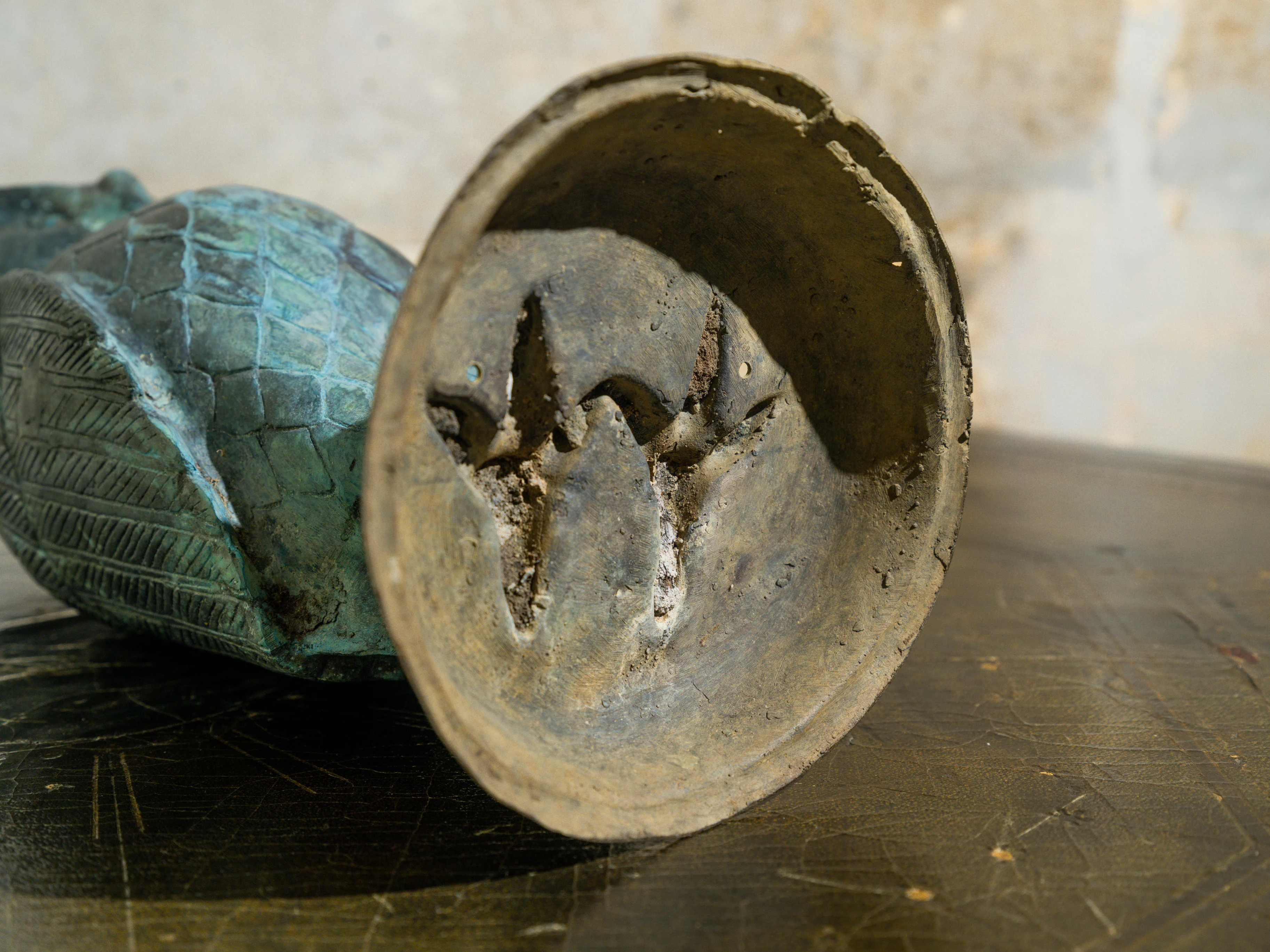Owl - Image 10