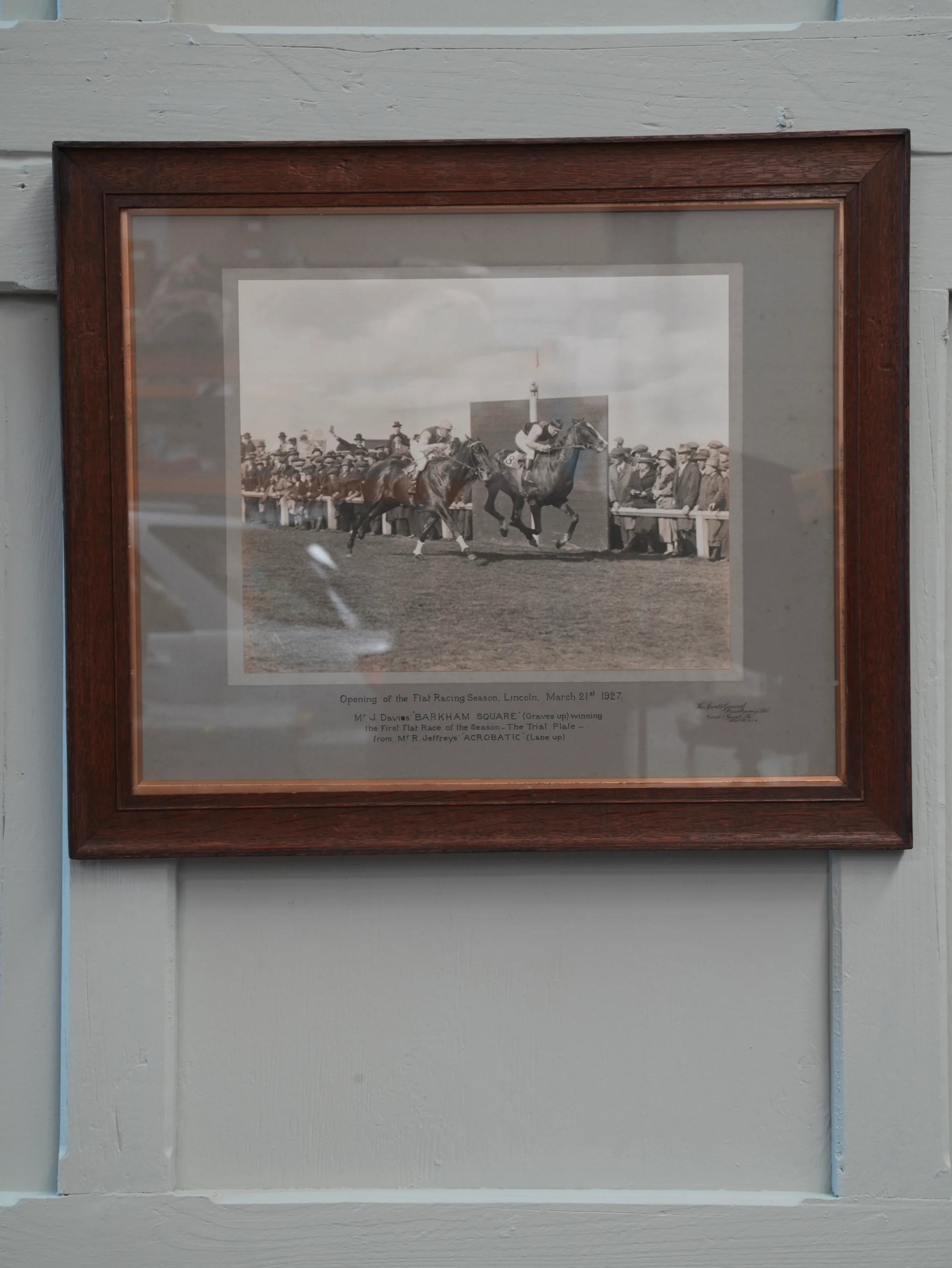 A Day at the Races - Image 5