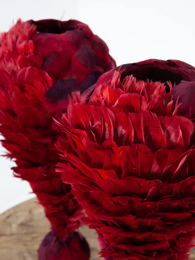 Plumes