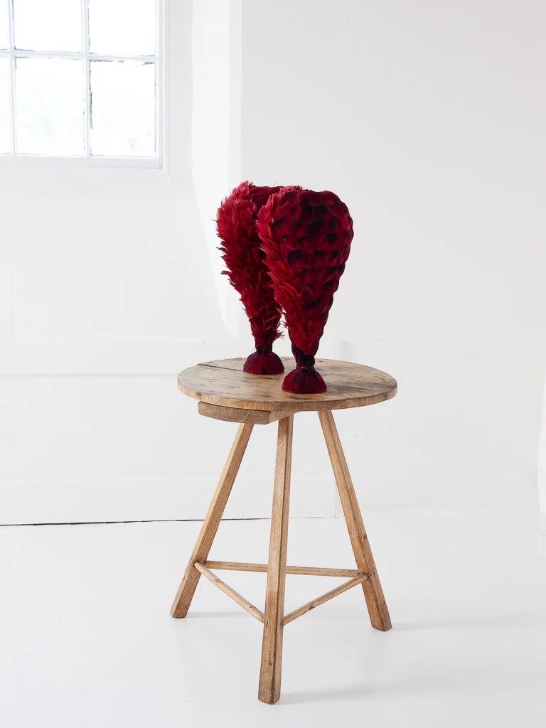 Plumes - Image 5