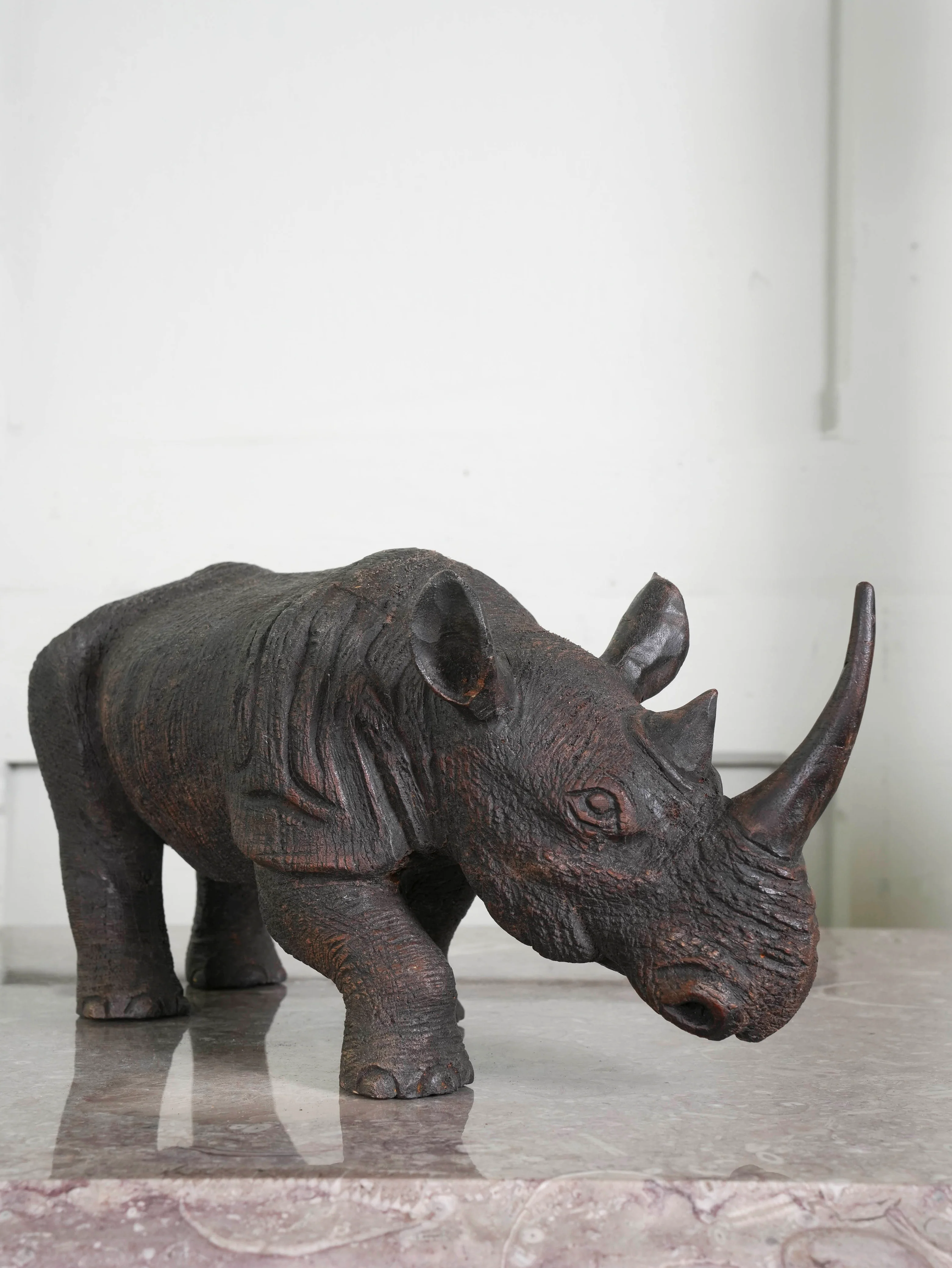 African Rhino