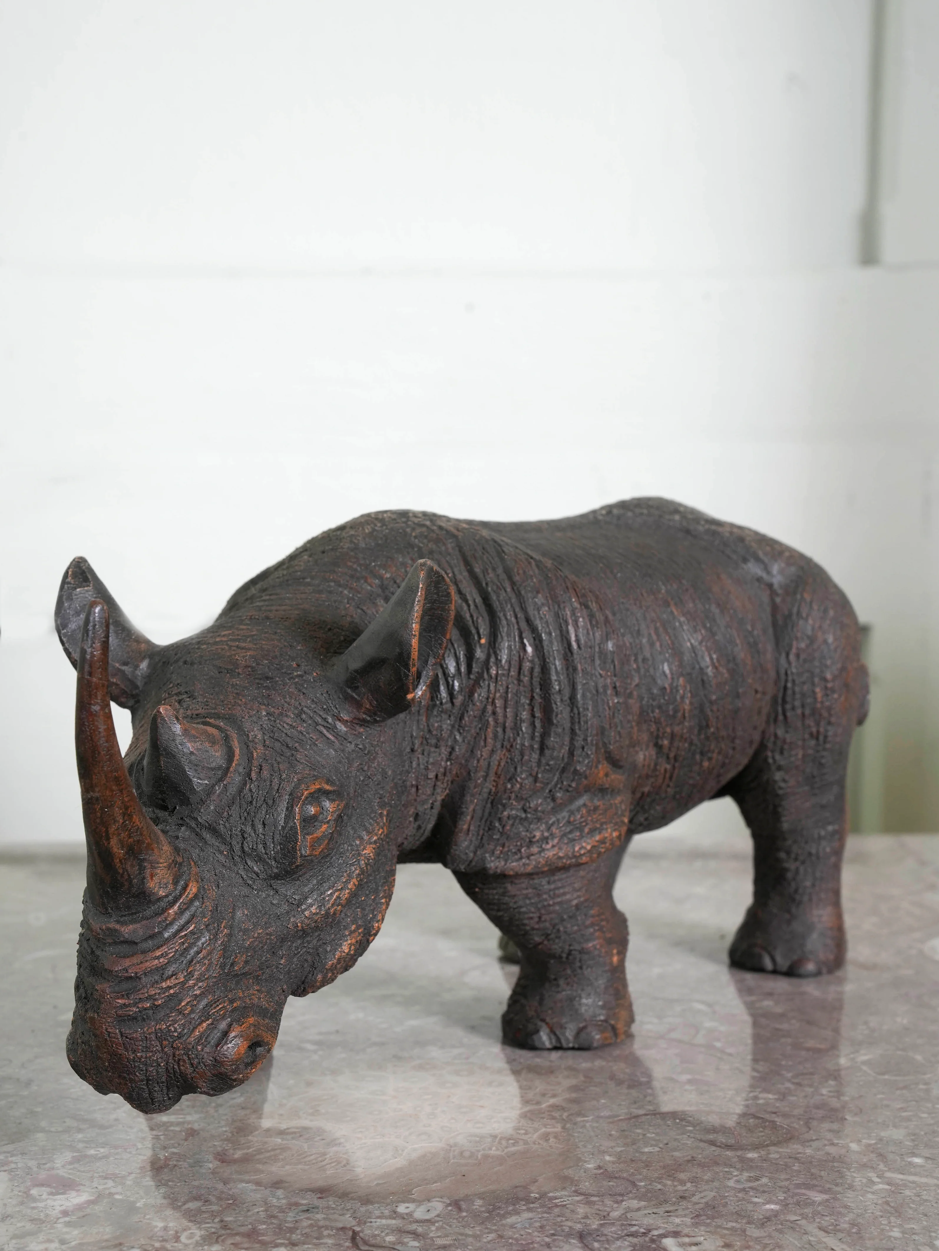 African Rhino - Image 11