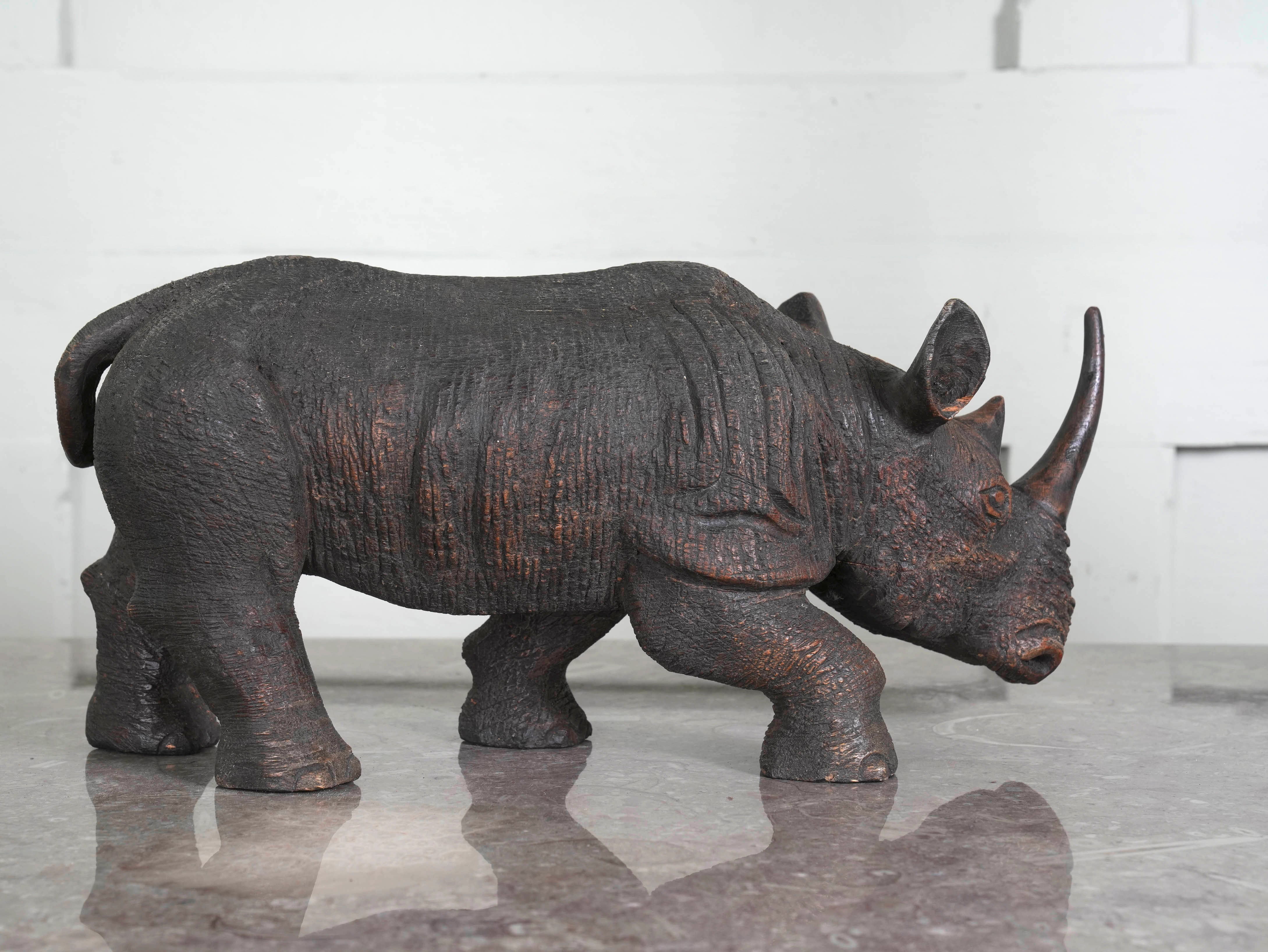 African Rhino - Image 9