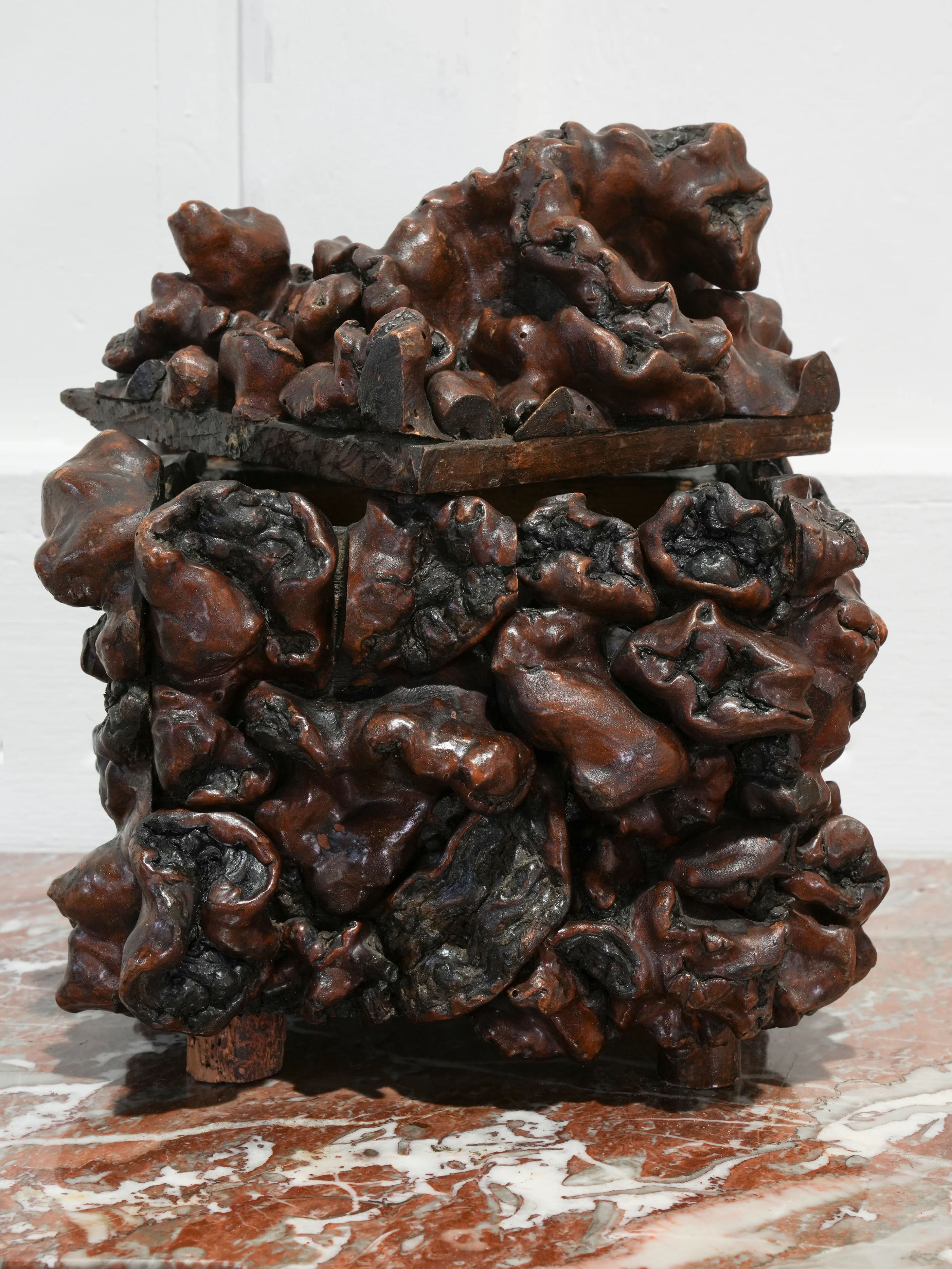 A 19th Century Vine Root Box - Image 4