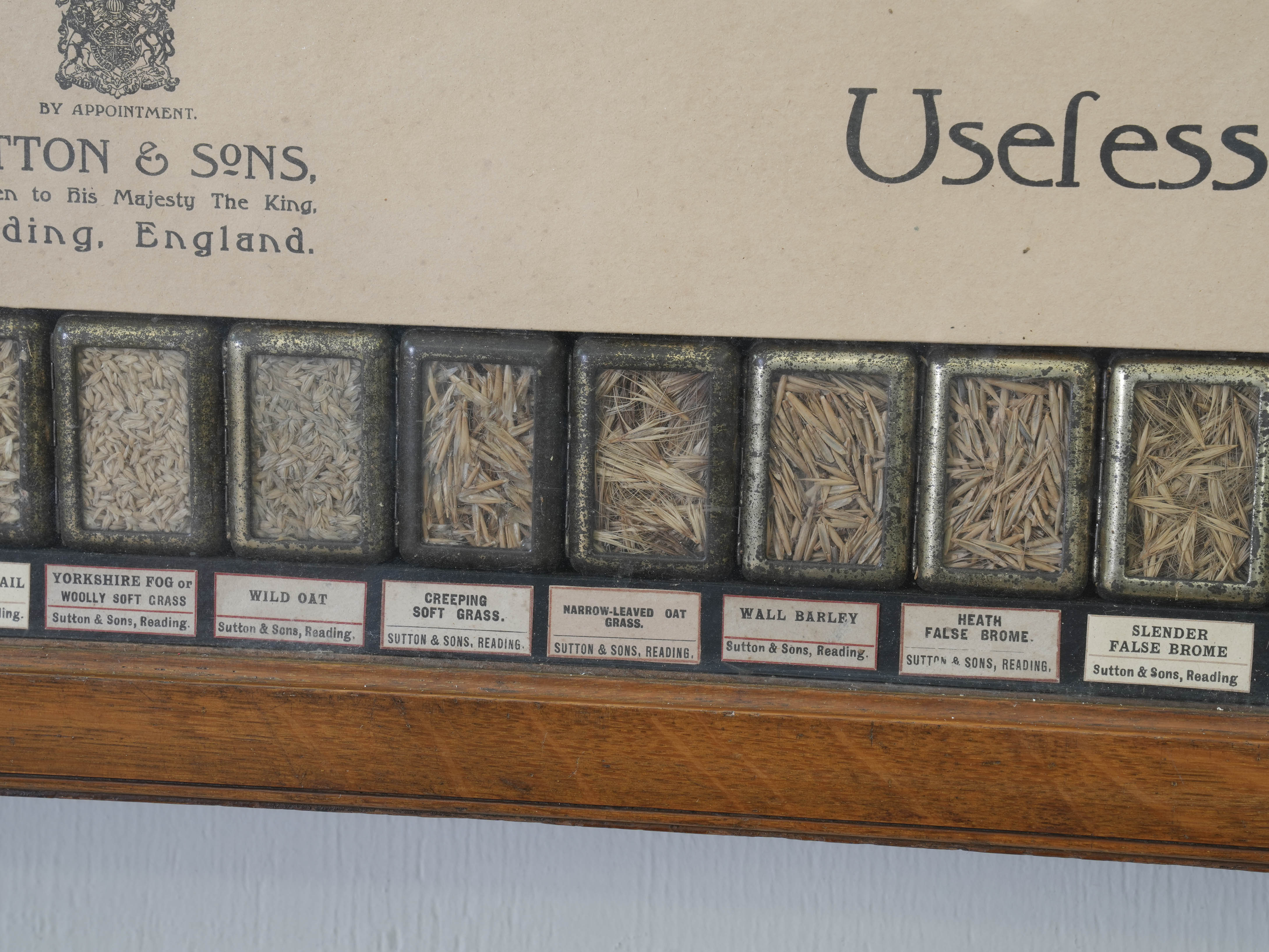 Suttons “Useful” Grasses & “Useless” Grasses Samplers - Image 10