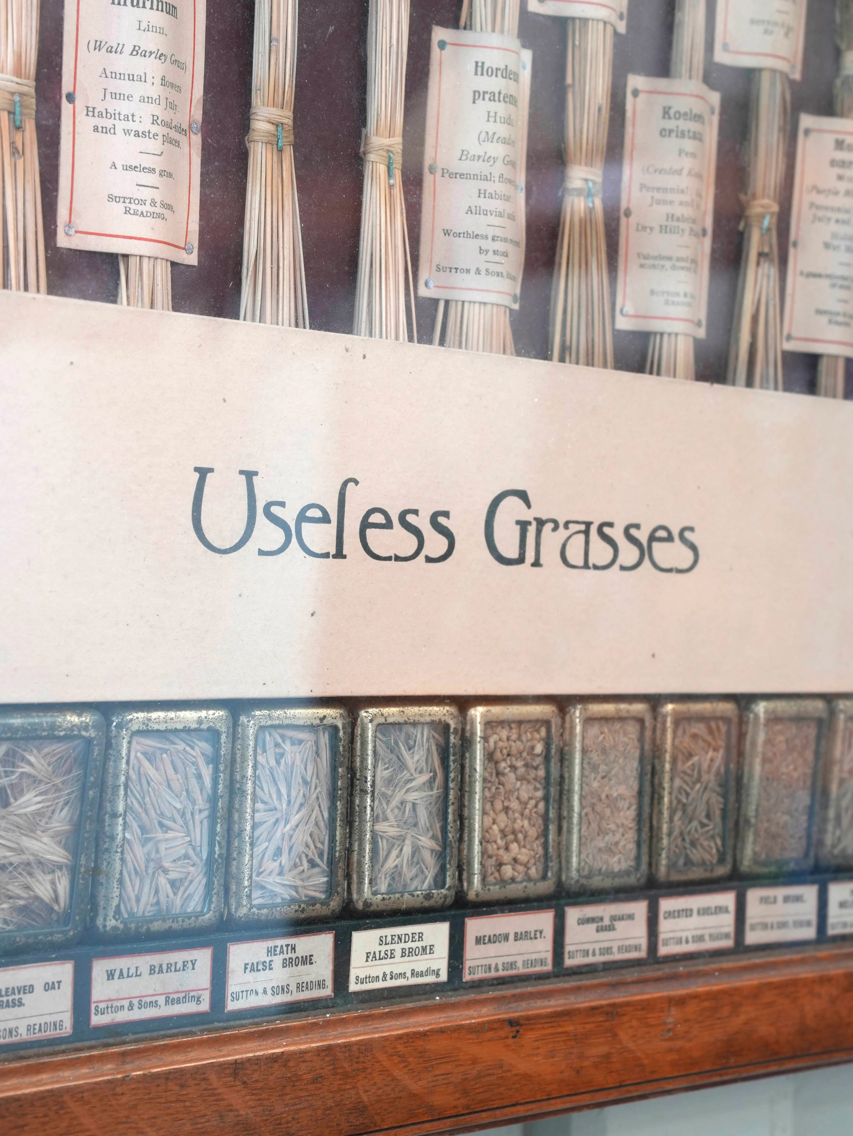 Suttons “Useful” Grasses & “Useless” Grasses Samplers - Image 9