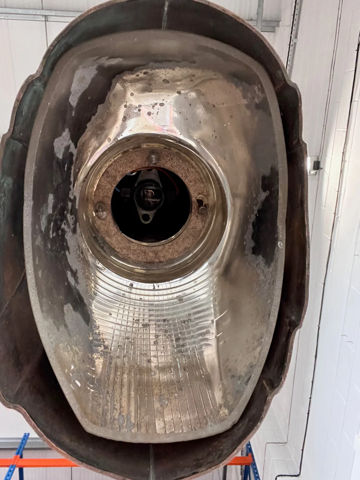 A French Nautilus Wall Light - Image 9
